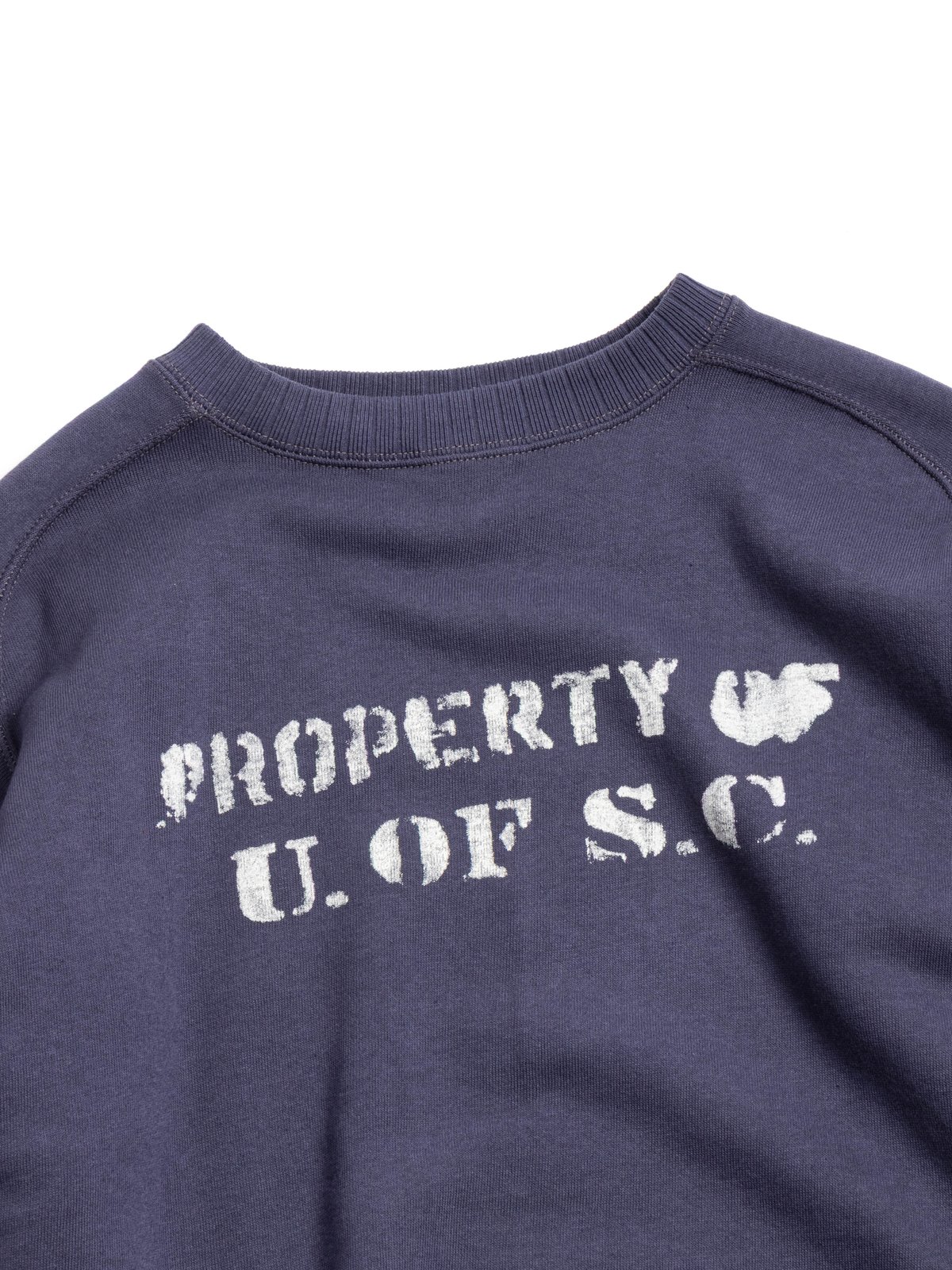 (JG&ndash;CS24) THE ALBERT SWEAT PROPERTY OF U of SC EGG PLANT - Image 2