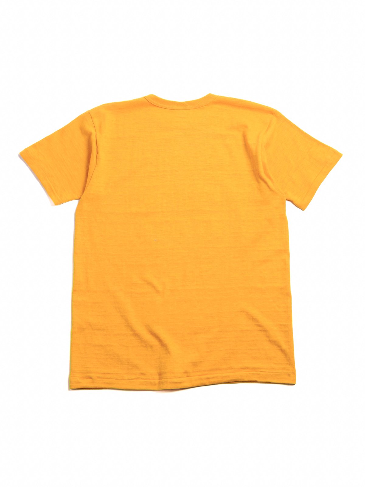 (JG–CS06–6) MOUNTAIN MUSIC T GOLD - Image 4